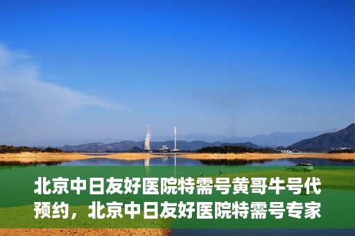 北京中日友好医院特需号黄哥牛号代预约，北京中日友好医院特需号专家黄哥预约服务解析