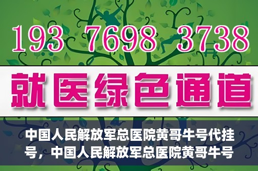 中国人民解放军总医院黄哥牛号代挂号，中国人民解放军总医院黄哥牛号代挂号解析，揭秘挂号背后的故事