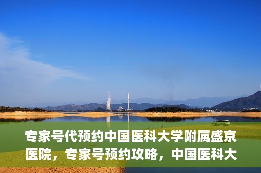 专家号代预约中国医科大学附属盛京医院，专家号预约攻略，中国医科大学附属盛京医院挂号指南