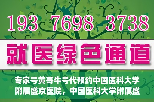 专家号黄哥牛号代预约中国医科大学附属盛京医院，中国医科大学附属盛京医院专家号黄哥牛号代预约服务解析