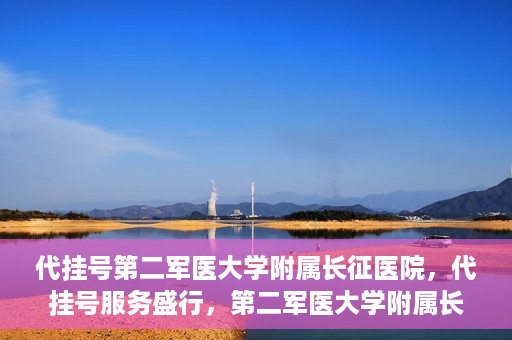 代挂号第二军医大学附属长征医院，代挂号服务盛行，第二军医大学附属长征医院探索与应对