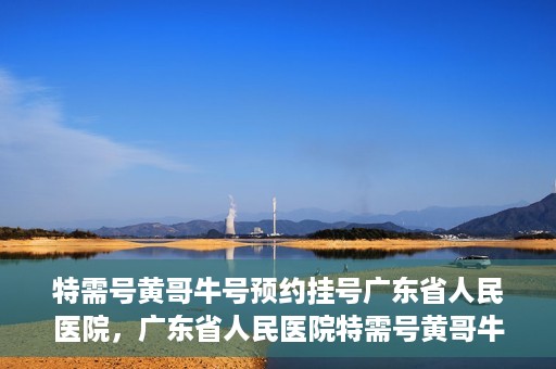 特需号黄哥牛号预约挂号广东省人民医院，广东省人民医院特需号黄哥牛号预约挂号服务解析