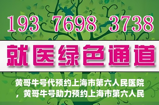 黄哥牛号代预约上海市第六人民医院，黄哥牛号助力预约上海市第六人民医院服务