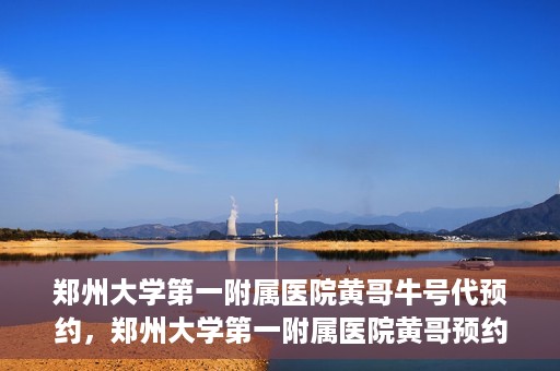 郑州大学第一附属医院黄哥牛号代预约，郑州大学第一附属医院黄哥预约代挂号服务解析