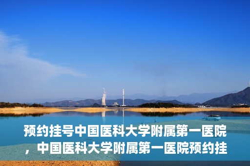 预约挂号中国医科大学附属第一医院，中国医科大学附属第一医院预约挂号系统启动，一站式服务助您轻松就医