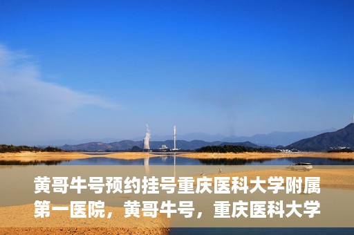 黄哥牛号预约挂号重庆医科大学附属第一医院，黄哥牛号，重庆医科大学附属第一医院预约挂号服务开启