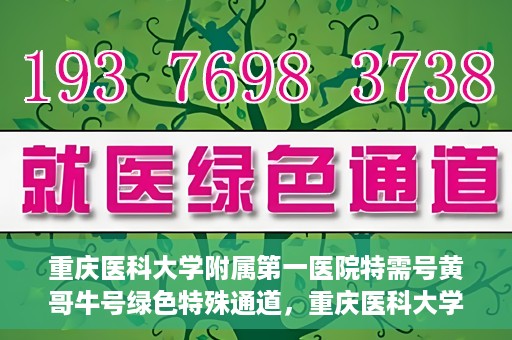 重庆医科大学附属第一医院特需号黄哥牛号绿色特殊通道，重庆医科大学附属第一医院特需号黄哥牛号，绿色特殊通道揭秘