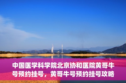 中国医学科学院北京协和医院黄哥牛号预约挂号，黄哥牛号预约挂号攻略，中国医学科学院北京协和医院就医指南