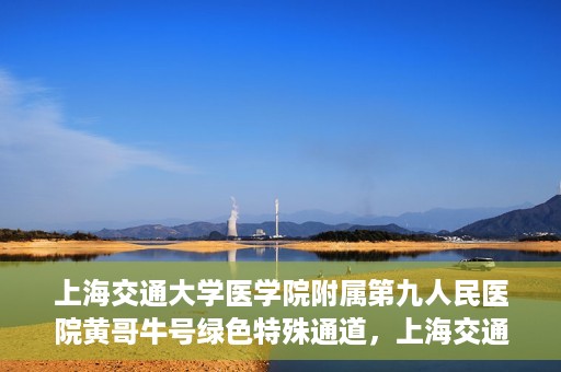 上海交通大学医学院附属第九人民医院黄哥牛号绿色特殊通道，上海交通大学医学院附属第九人民医院黄哥牛号，绿色特殊通道开启健康之门