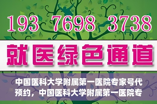 中国医科大学附属第一医院专家号代预约，中国医科大学附属第一医院专家号预约挂号服务解析