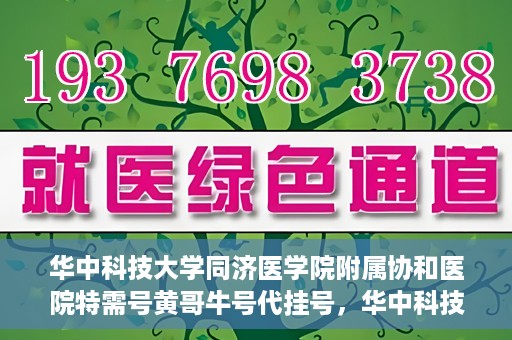 华中科技大学同济医学院附属协和医院特需号黄哥牛号代挂号，华中科技大学同济医学院附属协和医院特需号黄哥牛号代挂号服务解析