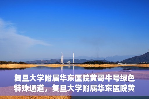 复旦大学附属华东医院黄哥牛号绿色特殊通道，复旦大学附属华东医院黄哥牛号，绿色特殊通道开启健康之门