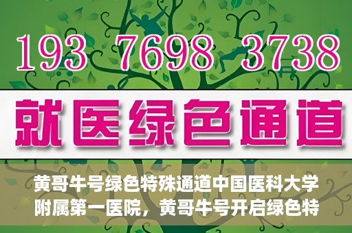 黄哥牛号绿色特殊通道中国医科大学附属第一医院，黄哥牛号开启绿色特殊通道，中国医科大学附属第一医院助力健康中国行动
