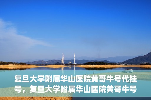 复旦大学附属华山医院黄哥牛号代挂号，复旦大学附属华山医院黄哥牛号代挂号服务详解