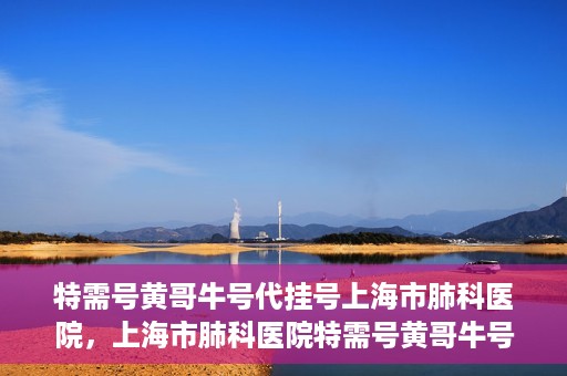 特需号黄哥牛号代挂号上海市肺科医院，上海市肺科医院特需号黄哥牛号代挂号服务解析