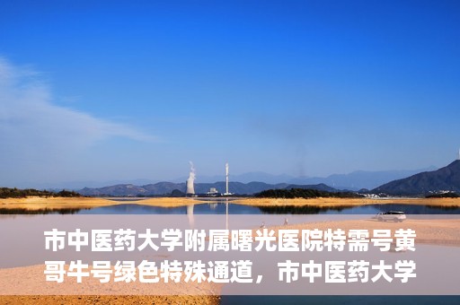 市中医药大学附属曙光医院特需号黄哥牛号绿色特殊通道，市中医药大学附属曙光医院特需号黄哥牛号，绿色特殊通道开启健康之门