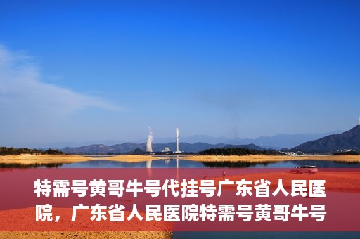 特需号黄哥牛号代挂号广东省人民医院，广东省人民医院特需号黄哥牛号代挂号服务解析