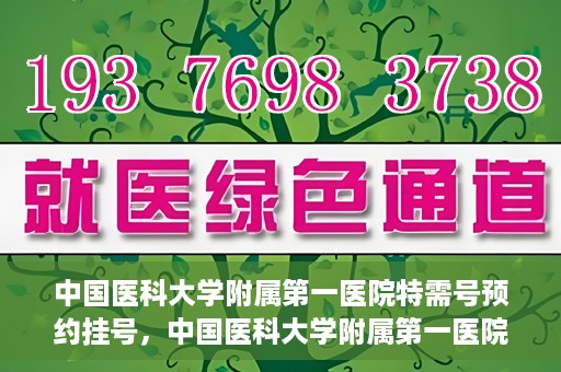 中国医科大学附属第一医院特需号预约挂号，中国医科大学附属第一医院特需号预约挂号服务详解