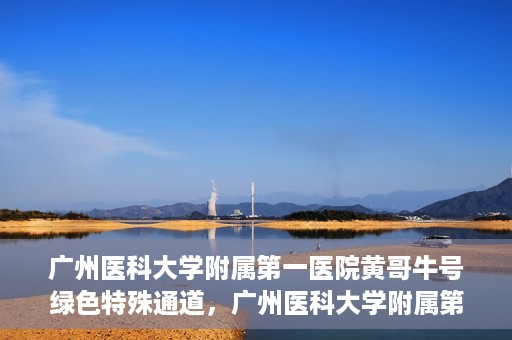 广州医科大学附属第一医院黄哥牛号绿色特殊通道，广州医科大学附属第一医院黄哥牛号，绿色特殊通道开启健康之门