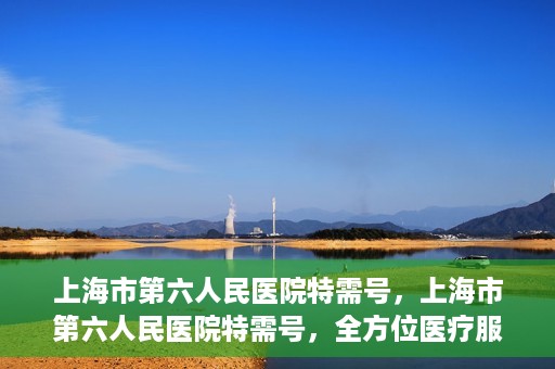 上海市第六人民医院特需号，上海市第六人民医院特需号，全方位医疗服务的深度解读