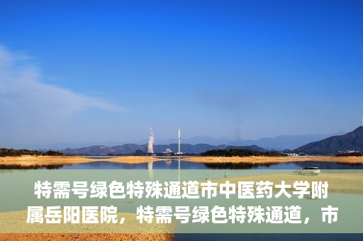 特需号绿色特殊通道市中医药大学附属岳阳医院，特需号绿色特殊通道，市中医药大学附属岳阳医院的医疗特色与优势