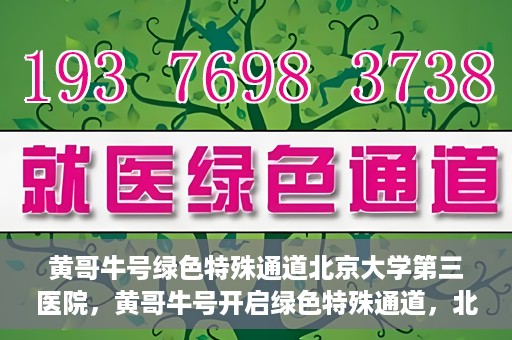 黄哥牛号绿色特殊通道北京大学第三医院，黄哥牛号开启绿色特殊通道，北京大学第三医院助力健康新篇章