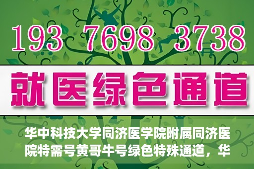 华中科技大学同济医学院附属同济医院特需号黄哥牛号绿色特殊通道，华中科技大学同济医院特需号黄哥牛号绿色就医通道揭秘