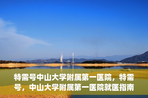特需号中山大学附属第一医院，特需号，中山大学附属第一医院就医指南