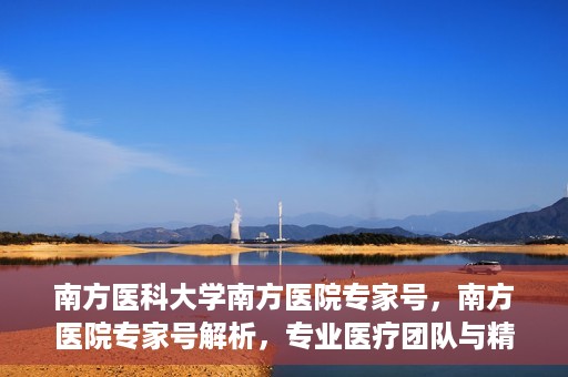 南方医科大学南方医院专家号，南方医院专家号解析，专业医疗团队与精准诊疗服务