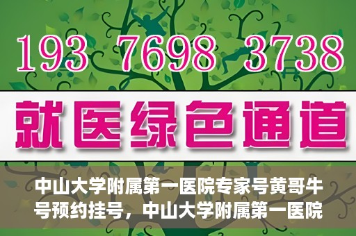 中山大学附属第一医院专家号黄哥牛号预约挂号，中山大学附属第一医院专家黄哥牛号预约攻略，一站式挂号解析
