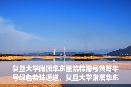 复旦大学附属华东医院特需号黄哥牛号绿色特殊通道，复旦大学附属华东医院特需号黄哥牛号，绿色通道的独家体验