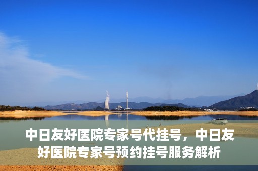 中日友好医院专家号代挂号，中日友好医院专家号预约挂号服务解析