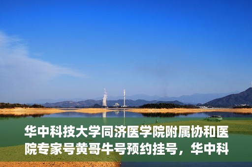 华中科技大学同济医学院附属协和医院专家号黄哥牛号预约挂号，华中科技大学同济医学院附属协和医院专家号黄哥牛号预约挂号攻略