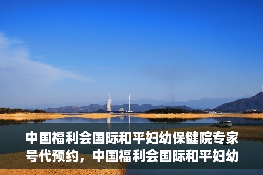 中国福利会国际和平妇幼保健院专家号代预约，中国福利会国际和平妇幼保健院专家号预约服务攻略