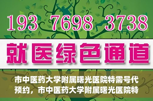 市中医药大学附属曙光医院特需号代预约，市中医药大学附属曙光医院特需号预约服务解析