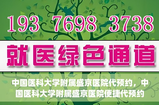 中国医科大学附属盛京医院代预约，中国医科大学附属盛京医院便捷代预约服务解析