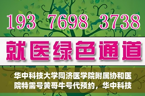 华中科技大学同济医学院附属协和医院特需号黄哥牛号代预约，华中科技大学同济医学院附属协和医院特需号预约服务解析，黄哥牛号预约详解