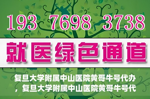 复旦大学附属中山医院黄哥牛号代办，复旦大学附属中山医院黄哥牛号代办，权威医疗资源的深度解读与便捷服务体验