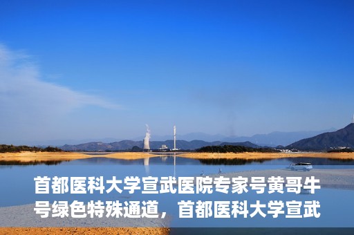 首都医科大学宣武医院专家号黄哥牛号绿色特殊通道，首都医科大学宣武医院专家号黄哥牛号，绿色特殊通道揭秘