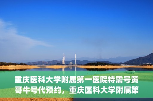 重庆医科大学附属第一医院特需号黄哥牛号代预约，重庆医科大学附属第一医院特需号黄哥牛号预约服务解析