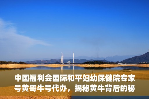 中国福利会国际和平妇幼保健院专家号黄哥牛号代办，揭秘黄牛背后的秘密，中国福利会国际和平妇幼保健院专家号代办乱象解探