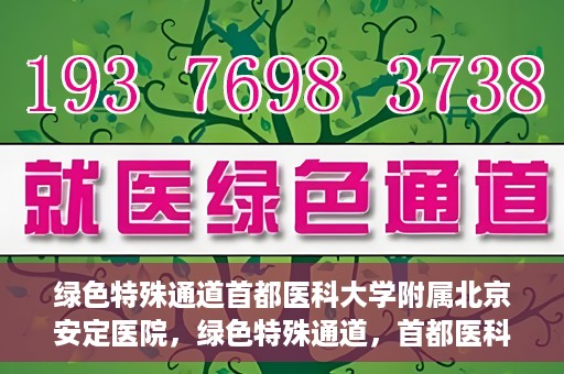 绿色特殊通道首都医科大学附属北京安定医院，绿色特殊通道，首都医科大学附属北京安定医院的探索与实践