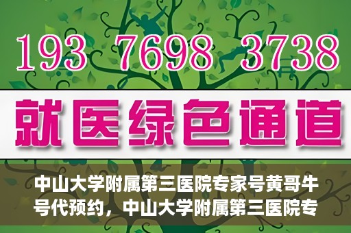 中山大学附属第三医院专家号黄哥牛号代预约，中山大学附属第三医院专家号预约服务解析，黄哥牛号代预约详解