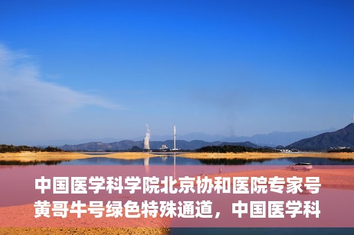 中国医学科学院北京协和医院专家号黄哥牛号绿色特殊通道，中国医学科学院北京协和医院专家号黄哥牛号，绿色特殊通道的医学力量探索