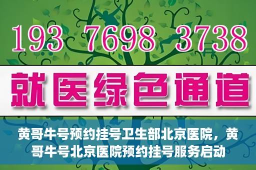 黄哥牛号预约挂号卫生部北京医院，黄哥牛号北京医院预约挂号服务启动