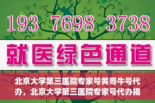 北京大学第三医院专家号黄哥牛号代办，北京大学第三医院专家号代办揭秘，黄哥牛号助您预约专家就医