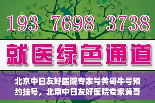 北京中日友好医院专家号黄哥牛号预约挂号，北京中日友好医院专家黄哥牛号预约挂号攻略
