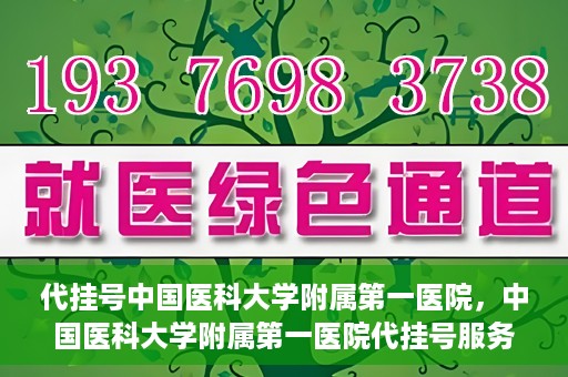 代挂号中国医科大学附属第一医院，中国医科大学附属第一医院代挂号服务详解