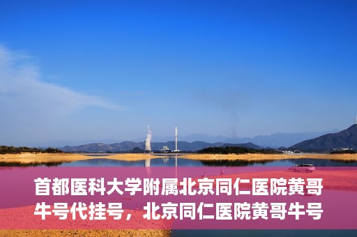 首都医科大学附属北京同仁医院黄哥牛号代挂号，北京同仁医院黄哥牛号代挂号服务解析