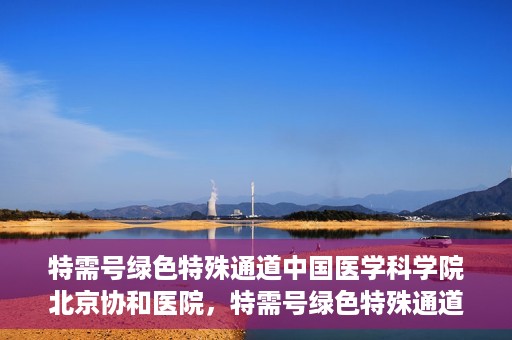 特需号绿色特殊通道中国医学科学院北京协和医院，特需号绿色特殊通道，中国医学科学院北京协和医院就医体验优化之路